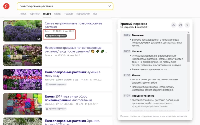 Скришнот Яндекс поиска с кратким пересказом видеоролика с Дзен